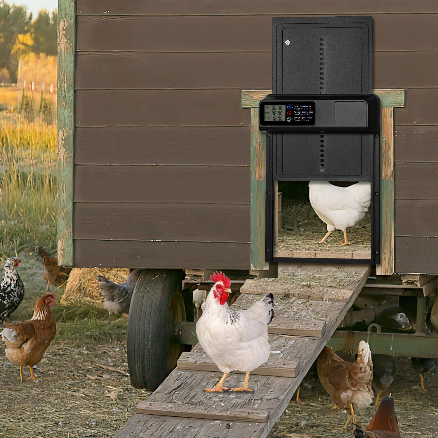 Jopassy Automatische Hühnerklappe mit Timer